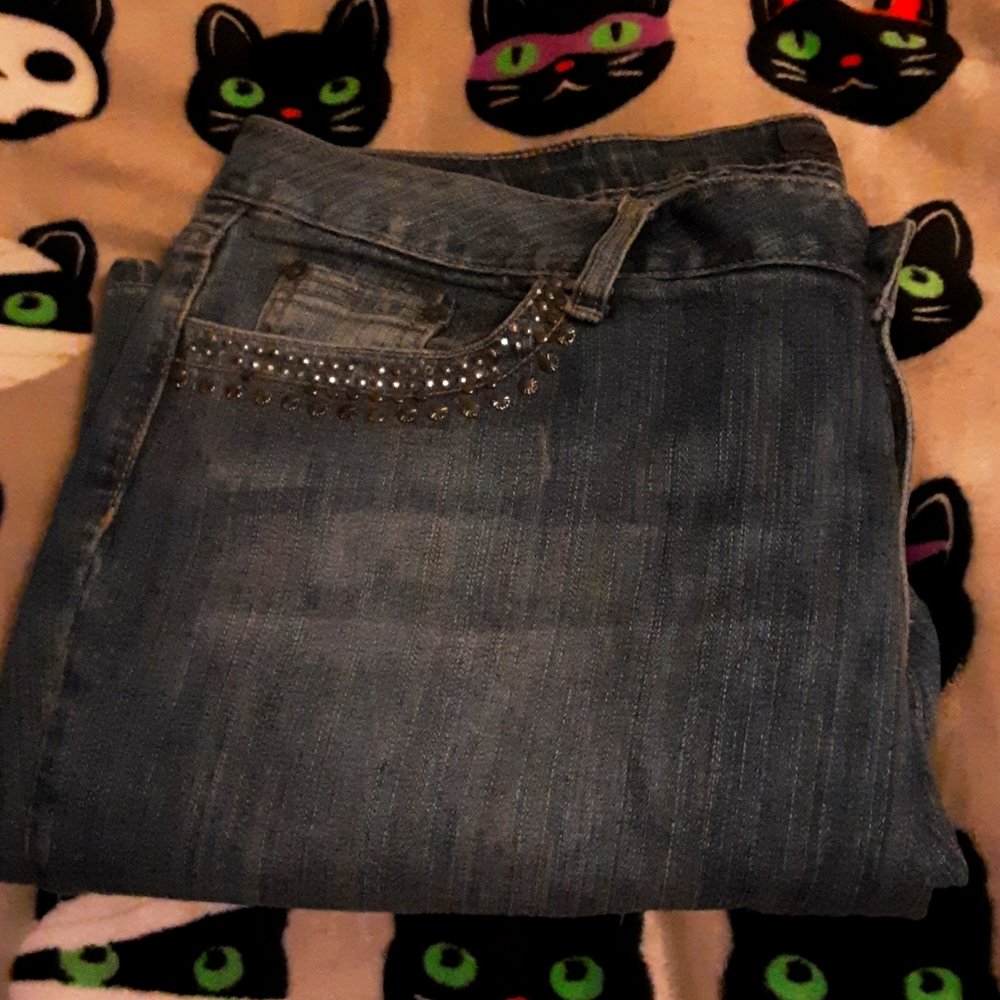 Zanadi Fashion Bug Embellished Jeans Woman's Plus 18 Dressy Vintage